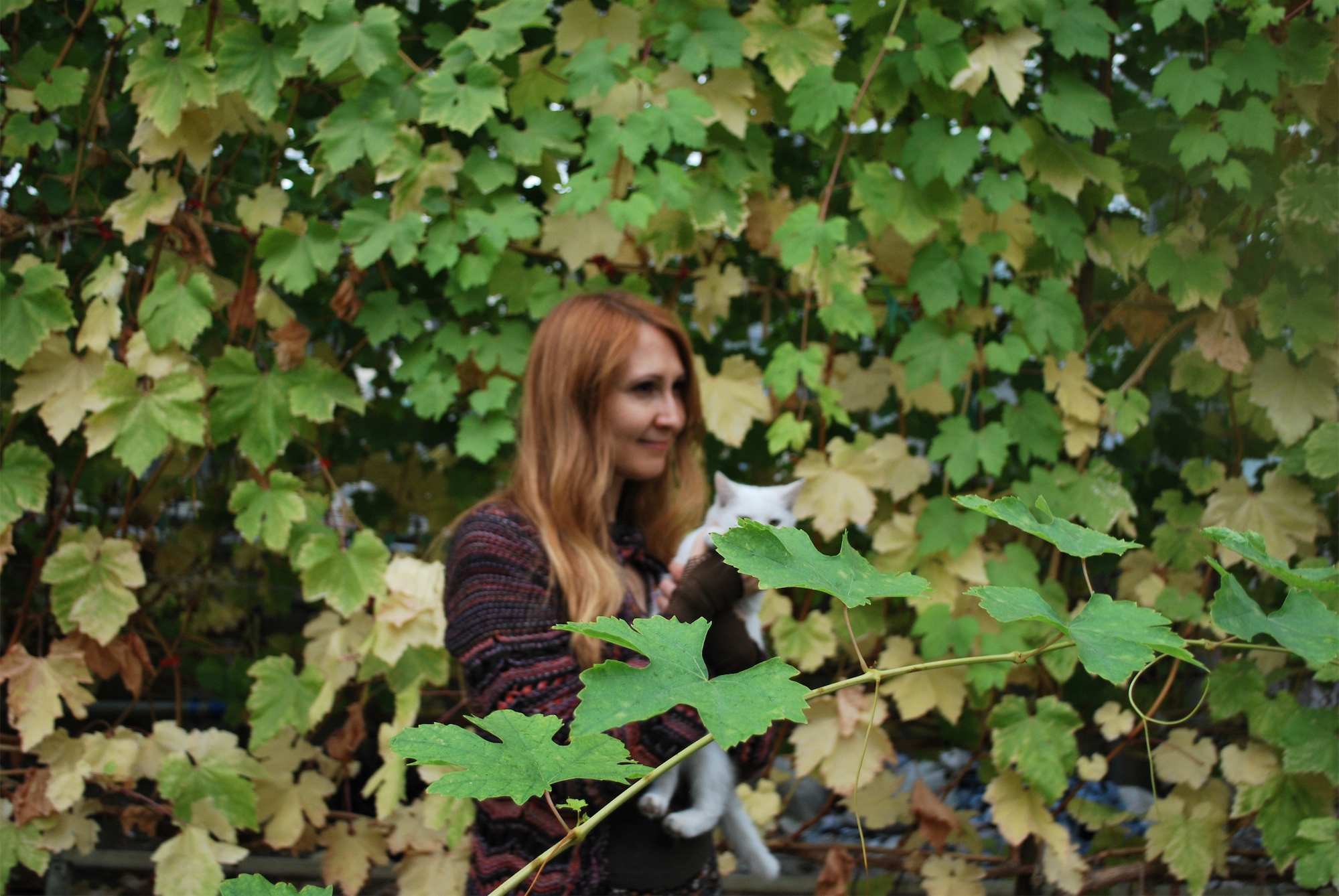 amurekimuri new year